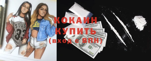 spice Богородицк