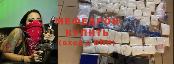 spice Богородицк