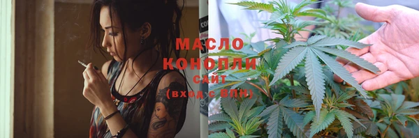 spice Богородицк