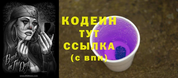 spice Богородицк