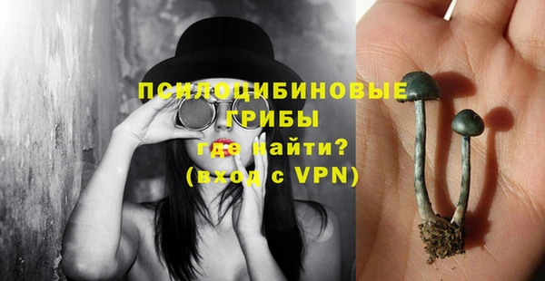 МДПВ Богданович
