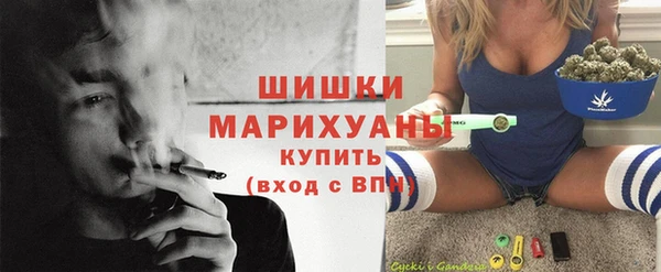 spice Богородицк