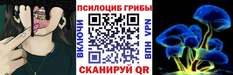 Галлюциногенные грибы мухоморы  купить наркотик  ОМГ ОМГ вход  Сковородино 